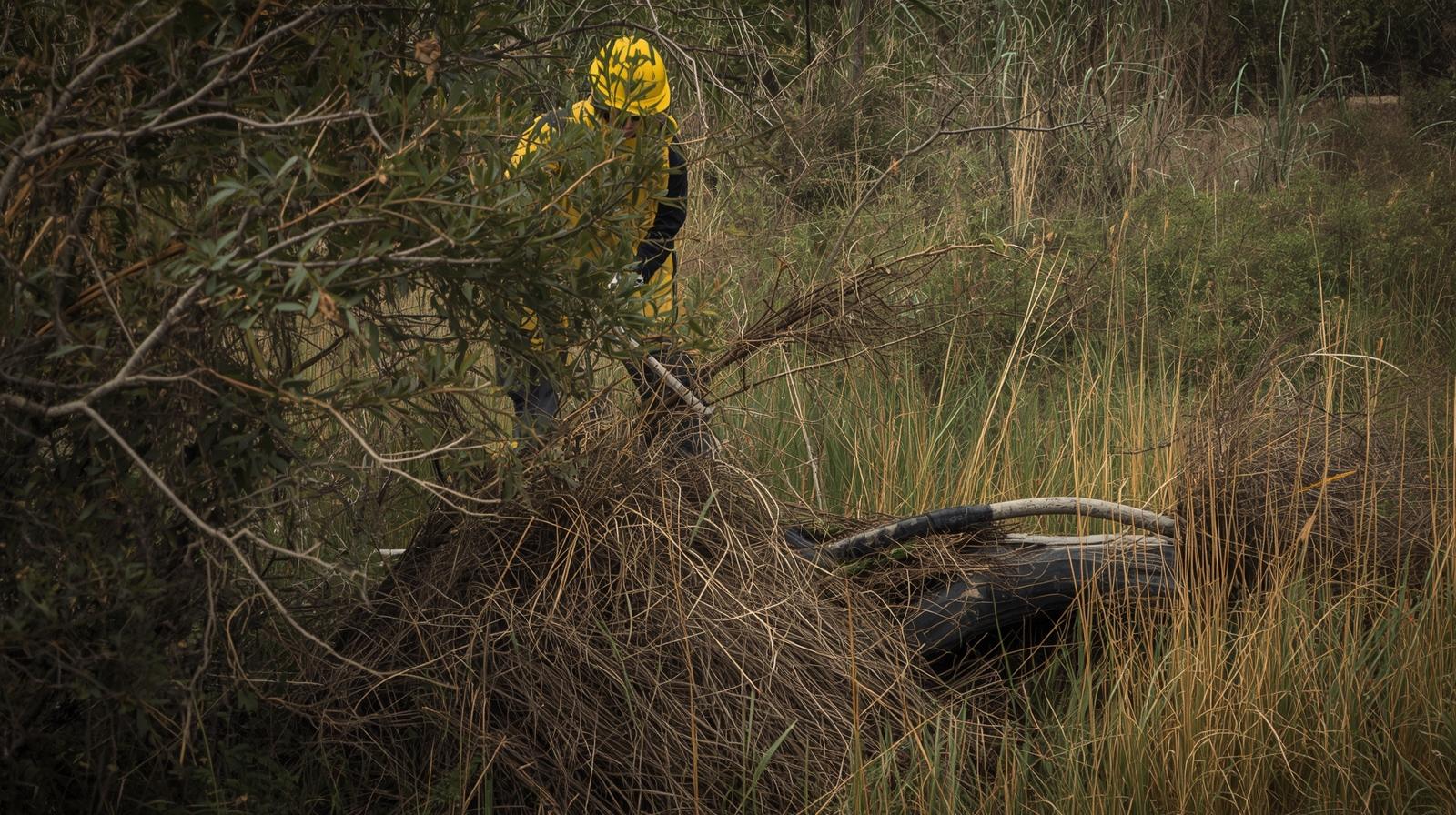 Les Étapes du Débroussaillage à Dax, Capbreton et dans les Landes