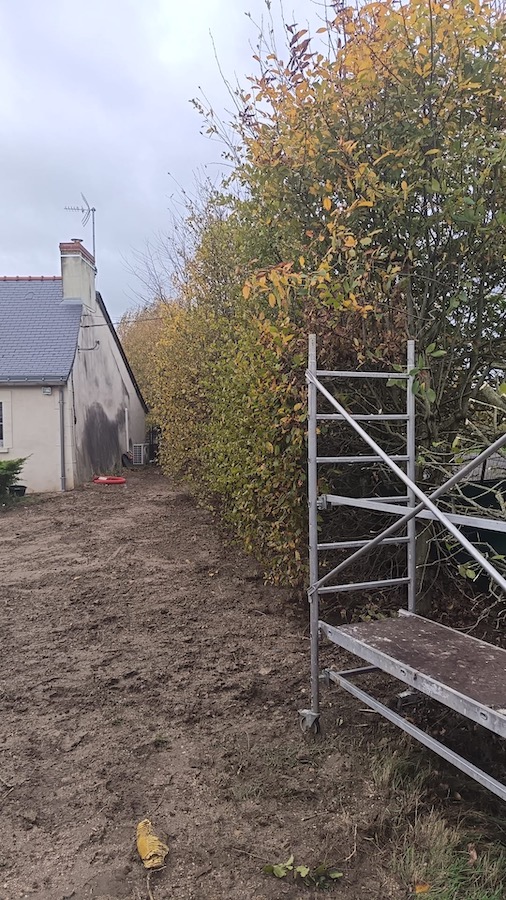 Maîtrise de la Croissance et Restructuration de Haie Arborescente