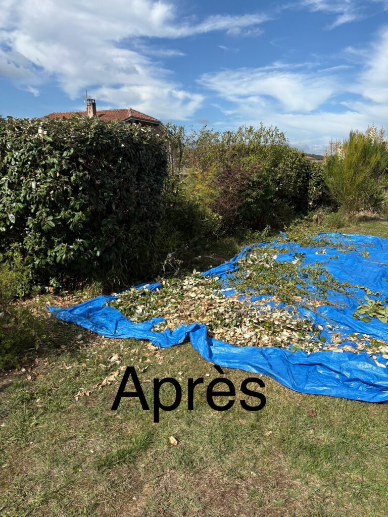 Remise en Forme et Organisation Post-Taille