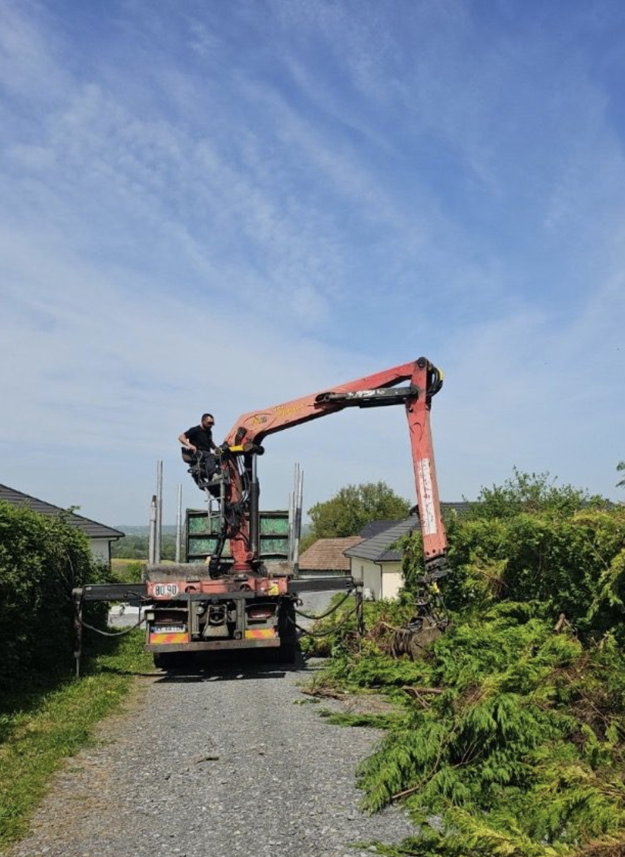 Intervention d'urgence après tempête pour mise en sécurité d'un arbre menaçant à Bayonne.