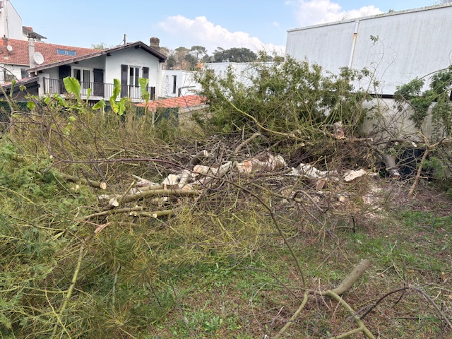Remise en état de jardin après abattage à Bayonne - Vue avant